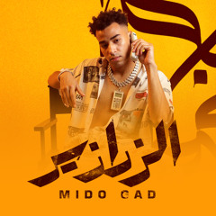 الزرازير