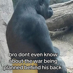 In Da Club (50 Cent Remix).wav