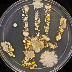 MOH BARETTA - DON’T PRAY 4 ME [WISHS & EDDIE GIANNI]]