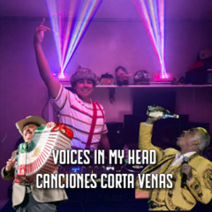 Voices in My Head: Canciones Corta Venas