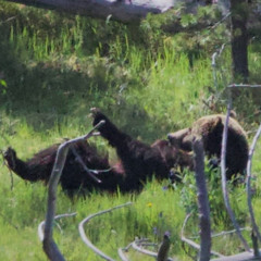 Strength She Can't See