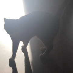 Loveletter from your killer