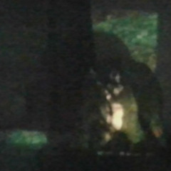 im so sad in techclub