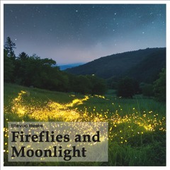 Fireflies And Moonlight
