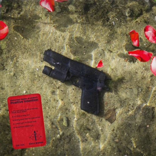 Distorted Noise Architetct - Positive Intention EP (GW001)