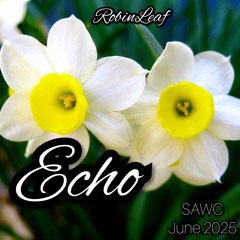 Echo
