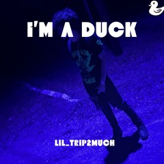 I’m A Duck