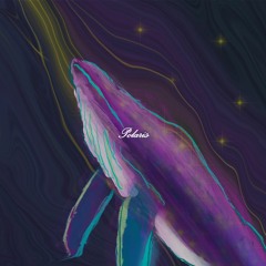 Polaris (Feat. include<>,김효중)