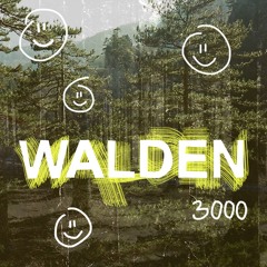 Mike Burns @ Walden 3000 - 6.7.2024