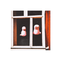pengwin