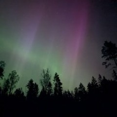 Live set at Ängsbacka Yoga & Dance Festival 2025 ✨