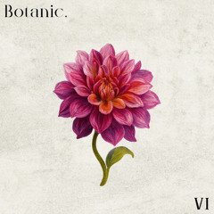 Botanic Sprout - 3.6 - Pedro