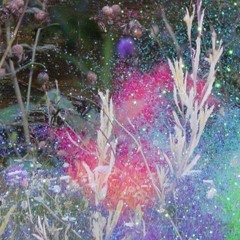 m0nster doll feat. Yunggvrø (trap ak4ri)