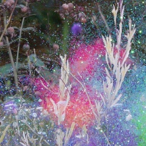 m0nster doll feat. Yunggvrø (trap ak4ri)