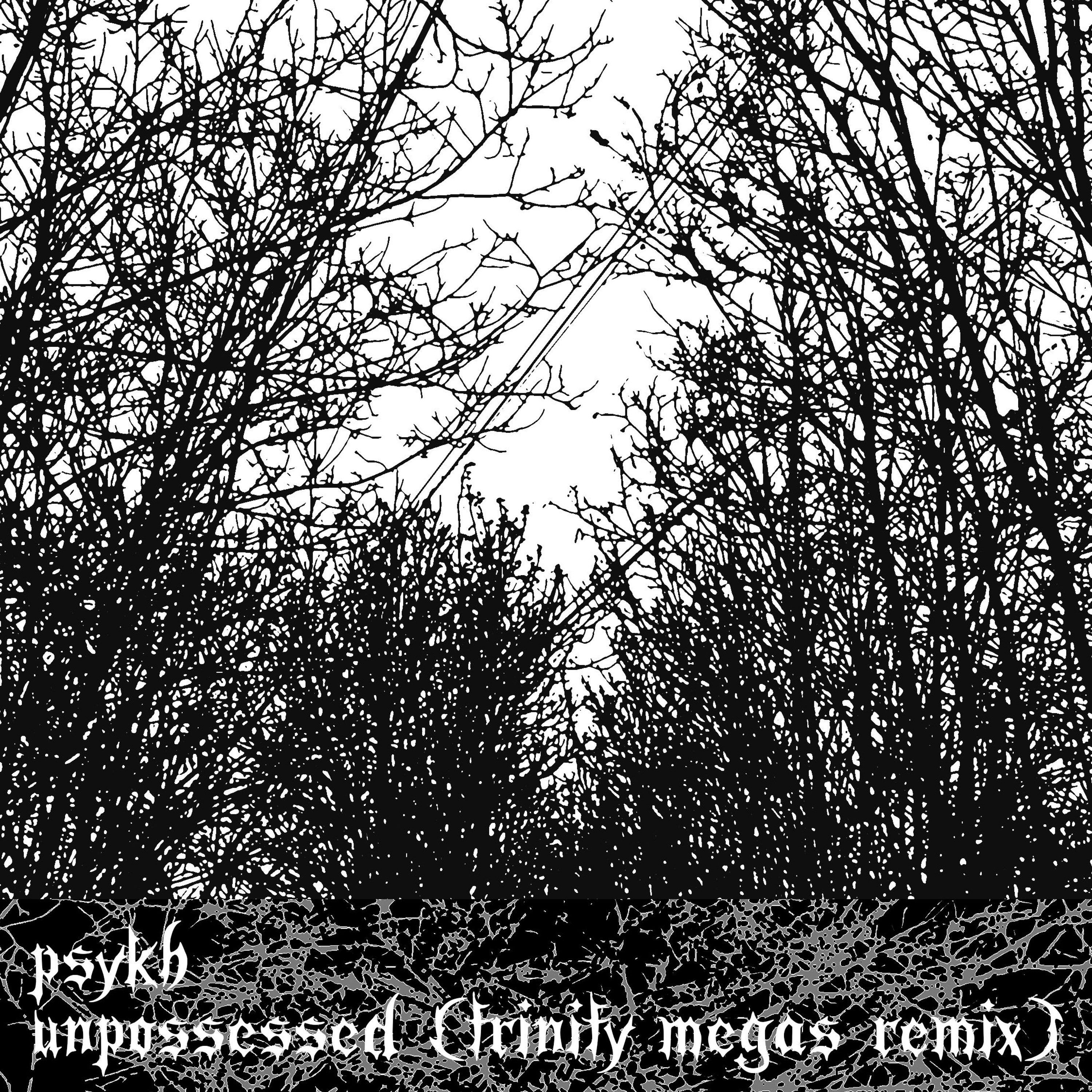 Unpossessed (Trinity Megas Remix) episode artwork