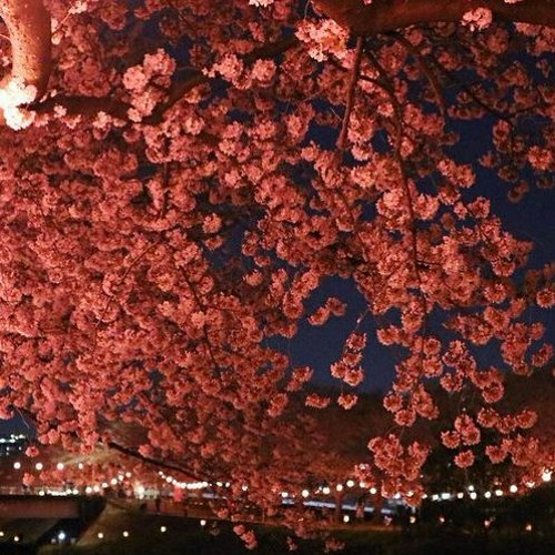 Страх - Аянами Рей