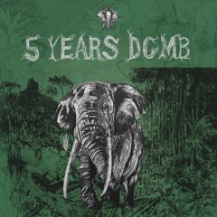 🎊🐘 5 YEARS DCMB 🐘🎊
