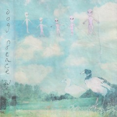 Fellow Hollow - "Dog fence weeds"