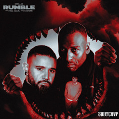 Skrillex, Fred again.. & Flowdan - RUMBLE (SwitchVp MashVp)
