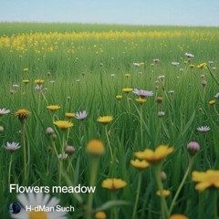 flowers meadow.( country)