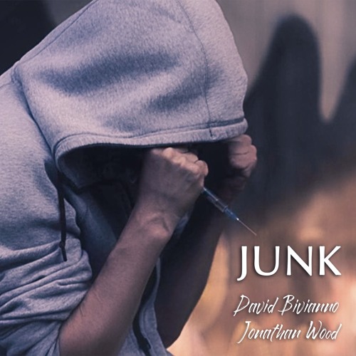 Junk By David Bivianno & Jonathan Wood