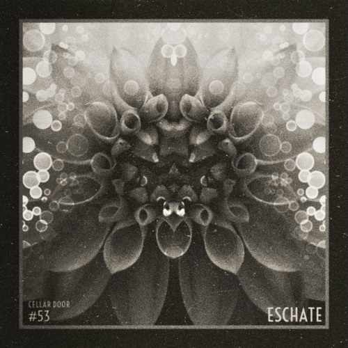 #53-ESCHATE