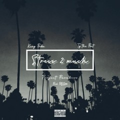 Stress 2 Much Ft. Ty the Poet (Prod. by PALE1080)