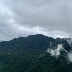 KHI CƠN MƠ KIA DẦN PHAI REMIX