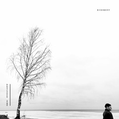 PREMIERE: Rudiment - Losing Stan [Rotation Mécanique]