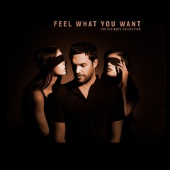 Phonique - Feel What You Want feat. Rebecca (Maywald Rемiх)