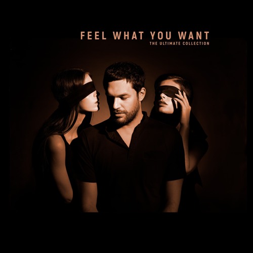 Feel What You Want feat. Rebecca (The Unhottest Rемiх)