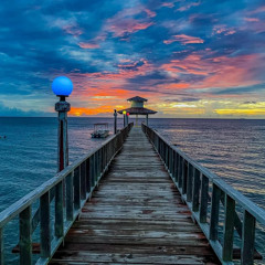 honestav - Stuck On The Floor 🏝️