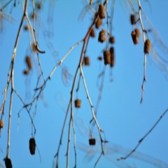 Form 3 Liquid Nu Drum s by Dj Sylvester