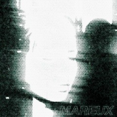 Mareux - The Perfect Girl (Gabidulin Remix) SLOWED
