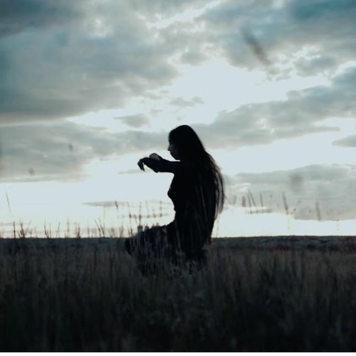 Rafor - Bird (official MV)