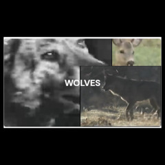 wolves (prod. sabishi22)