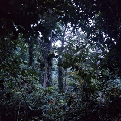 hardgroove vinyl inspired