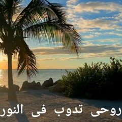 روحى تدوب فى النور.wav