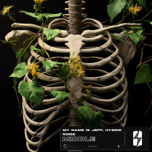 My Name Is Jeff & Hybrid Noise - Middle