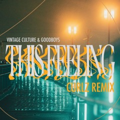 Vintage Culture & Goodboys - This Feeling (CURLZ Remix)