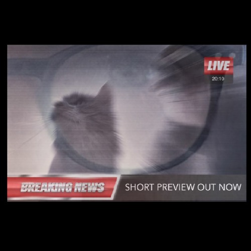 Project 5 - Wojtek The Soldier Bear - Hardstyle (PREVIEW @ 16.10.23)