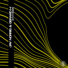 Jay Norris, Gerard H - Now Is The Future (Original Mix)