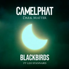 CamelPhat - Dark Matter - Blackbirds ft. Leo Stannard (neilbgr reconstruction)