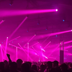 ADE - Dockyard x Mystic Garden 2025 inspiration