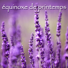 Le chant des oiseaux