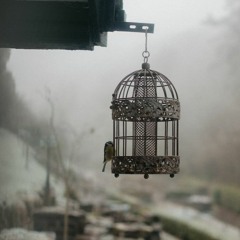 March "Caged" deep house music chart 2023