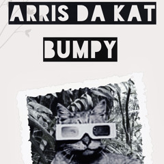 da kat BUMPY