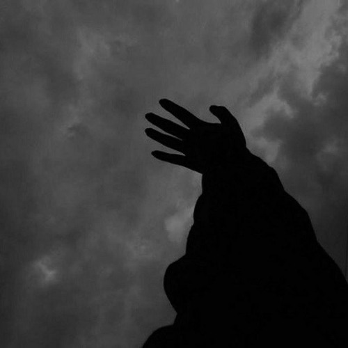 △XIUS LIИK X ARELICE - ZABUD'