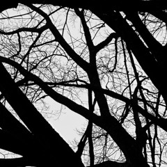 Milk and Cigarettes (Awful Mix)