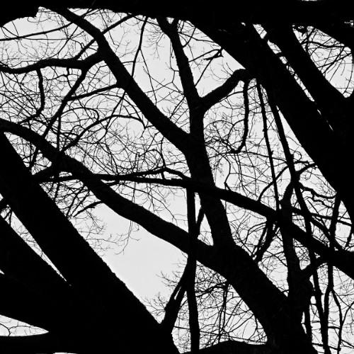 Milk and Cigarettes (Awful Mix)